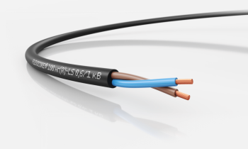 FLEXICORE® 100 нг(А)-LS 0,6/1 кВ